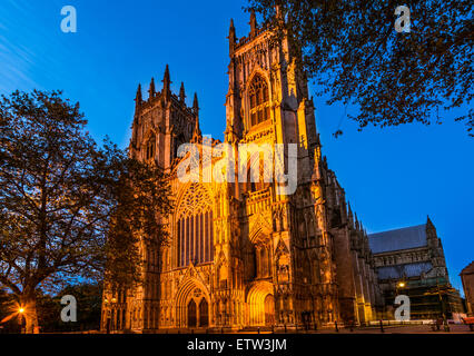 York Minster am Abend; ist die Kathedrale von York, England, und ist eines der größten seiner Art in Nordeuropa Stockfoto