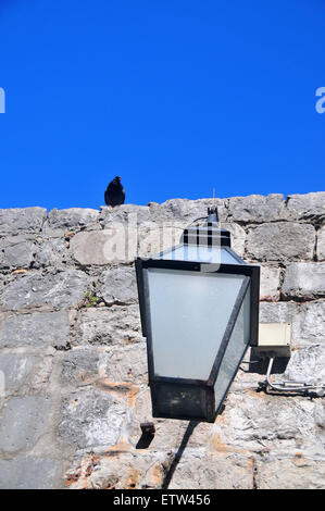 Eine Lampe montiert auf der alten Stadtmauer von Dubrovnik lenkt die Aufmerksamkeit eines Raben. Stockfoto