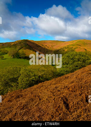 Batch-Tal auf der Long Mynd in der Nähe von Kirche Stretton in Shropshire Hügel England UK Stockfoto