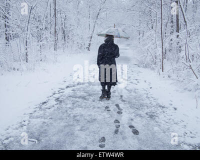 Frau allein durchschreitet Prospect Park bei nassem Schneesturm, Brooklyn, NY. Stockfoto