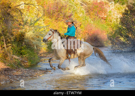 USA, Wyoming, Cowgirl reitet sein Pferd über Fluss Stockfoto