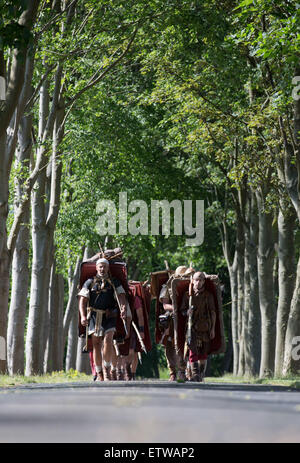 Ostbevern, Deutschland. 15. Juni 2015. Männer gekleidet als römische Legionäre auf einer Straße mit ihren Schwertern in Ostbevern, Deutschland, 15. Juni 2015 marschieren. 16 Römer aus der "Legio ich" Italia "beteiligen sich an dem Projekt"Römer auf Tour." Sie werden von einem Team aus dem Museum Varusschlacht Kalkriese begleitet werden. Die Phasen des Legionärs März führen durch Nordrhein-Westfalen und Niedersachsen bis Kalkriese. Bildnachweis: Dpa picture Alliance/Alamy Live News Stockfoto