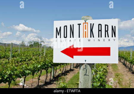 Zeichen und Weinberge Montakarn Estate Winery in South Okanagan von British Columbia, Kanada. Stockfoto