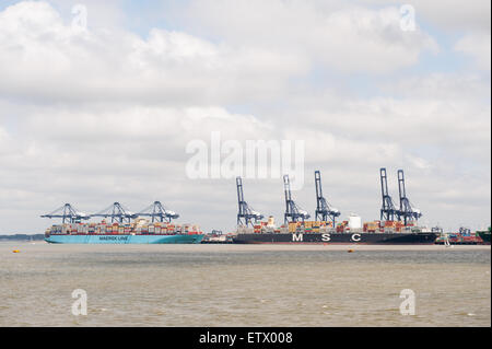 Felixstowe Verschiffungshafen docks mit massiven Kräne Laden von großen Schiffen die größte Containerhafen UK Stockfoto