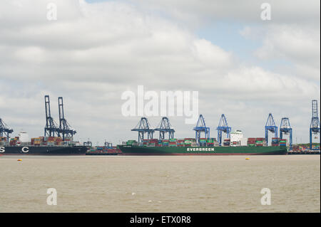 Felixstowe Verschiffungshafen docks mit massiven Kräne Laden von großen Schiffen die größte Containerhafen UK Stockfoto