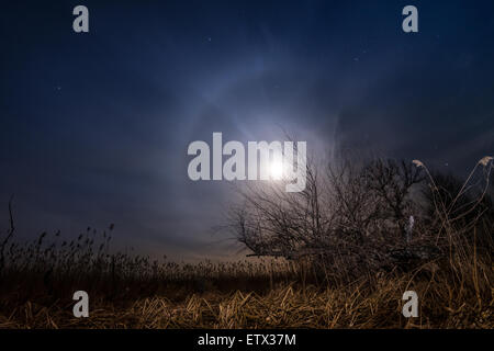 Jagd nach dem Mond - Nacht Vollmond Landschaft Hintergrund Stockfoto