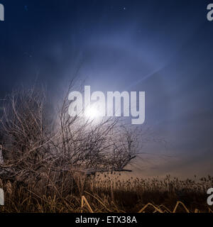 Jagd nach dem Mond - Nacht Vollmond mystische Landschaft Hintergrund Stockfoto