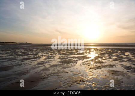 Europa, Niederlande, Zeeland, Sonnenuntergang am Strand zwischen Oostkapelle und Domburg auf der Halbinsel Walcheren.  Europa, Niederlan Stockfoto