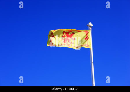 Schottische Lion Rampant Flagge vor einem tiefblauen Himmel Stockfoto