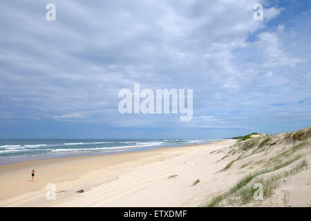 Dünen am Hauptstrand Stockfoto