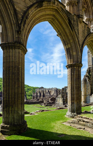 Ruinen von Rievaulx Abbey, in der Nähe von Helmsley, North Yorkshire, England, UK Stockfoto