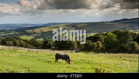 Großbritannien, England, Derbyshire, Eyam, Aussicht auf Stoney Middleton aus Rileys Feld Stockfoto