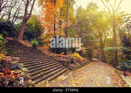 Herbstliche Landschaft mit langen Treppe und Wanderweg. Alfred Nikolaus Gärten, Australien Stockfoto