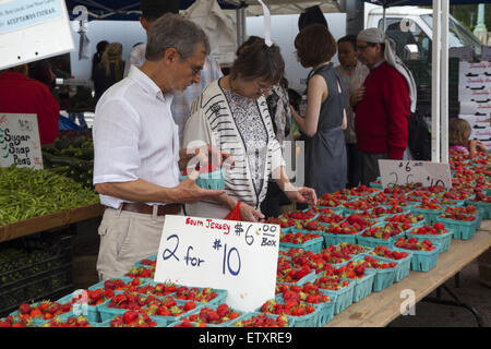 Lokal angebauten Erdbeeren zum Verkauf an der Grand Army Plaza Farmers Market in Park Slope, Brooklyn, NY. Stockfoto