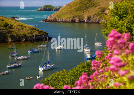 Solva Harbour, Pembrokeshire, Wales, Großbritannien Stockfoto