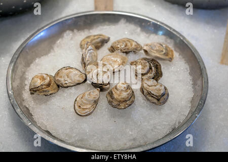 Frische ganze Austern in der Schale auf Eis für frischen Fisch und Meeresfrüchte-Markt Stockfoto