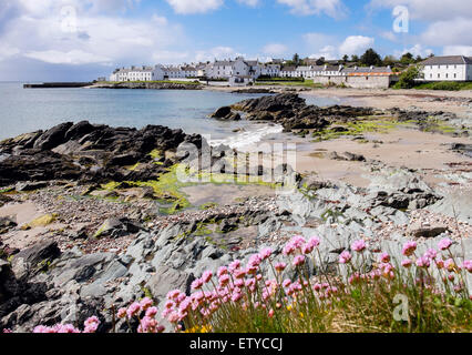 Sparsamkeit Meer Armeria maritima Rosa Blumen und Blick entlang der Küste von Loch Indaal, Port Charlotte Insel Islay Inneren Hebriden Western Isles Schottland Großbritannien Stockfoto