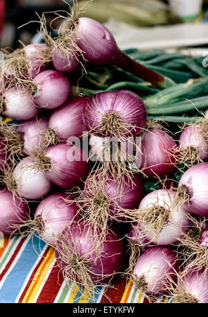 Roten Zwiebeln auf einem Bauernhof Tisch fotografiert. Stockfoto