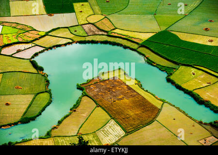 Reisfeld im Tal in Bacson, Langson, Vietnam Stockfoto