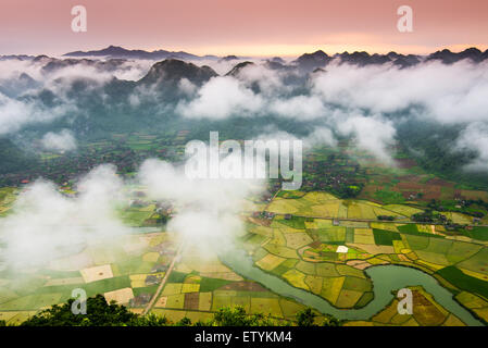 Reisfeld im Tal in Bacson, Langson, Vietnam Stockfoto