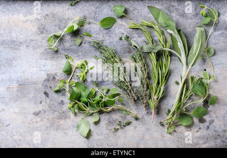 Auswahl an frischen Kräutern Thymian, Rosmarin, Salbei und Oregano über grauen Metall Hintergrund. Ansicht von oben Stockfoto