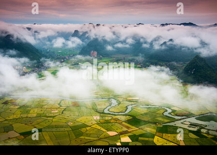 Reisfeld im Tal in Bacson, Langson, Vietnam Stockfoto