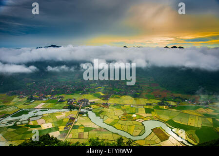 Reisfeld im Tal in Bacson, Langson, Vietnam Stockfoto