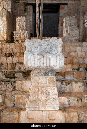 Kopf der Schlange mit Maya-Hieroglyphen, Flachrelief auf Akropolis Pyramide bei Ek Balam archäologische Zone, Bundesstaates Yucatán, Mexiko Stockfoto