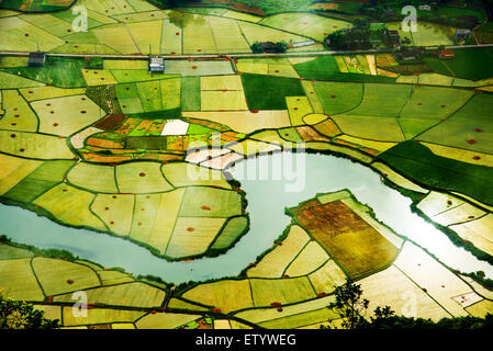 Reisfeld im Tal in Bacson, Langson, Vietnam Stockfoto