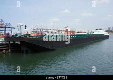 Die Meare, ein Motorschiff, liegt in Hartelhaven im Hafen von Rotterdam. Mit einer ENI-Nummer von 06004130 ist dieses Schiff an der Beförderung von Fracht beteiligt und Teil des robusten Seeverkehrs in der Region, was seine Rolle in der gewerblichen Schifffahrt und Logistik unterstreicht. Stockfoto