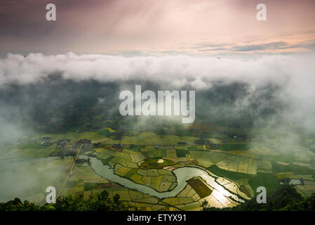 Reisfeld im Tal in Bacson, Langson, Vietnam Stockfoto