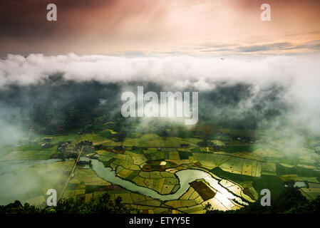 Reisfeld im Tal in Bacson, Langson, Vietnam Stockfoto
