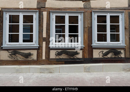 Göttingen, Deutschland. 11. Juni 2015. Die renovierte Fachwerk Fassade des Günter-Grass-Archivs ist zusammen mit Grass Zeichnungen auf "Hundejahre" (Hundejahre) in Göttingen, 11. Juni 2015 abgebildet. Eröffnet wurde die Ausstellung "Guenter Grass, Vonne Endlichkait" am 12. Juni. "Vonne Endlichkait" ist das letzte literarische Werk der deutschen Schriftsteller und Nobel Laureatus Grass, die im April gestorben. Foto: Swen Pfoertner/Dpa/Alamy Live News Stockfoto