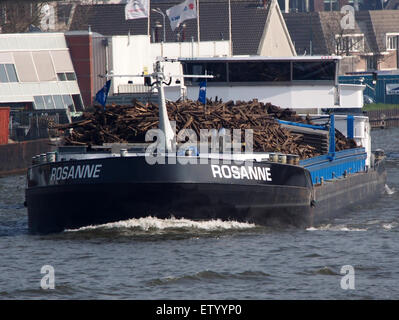 Das Bild zeigt die Rosanna, ein Ölcontainerschiff, während es den Amsterdam-Rijnkanaal fährt. Das Schiff ist Teil des aktiven Transportsystems und befördert Ölfracht auf den Wasserstraßen der Region. Stockfoto
