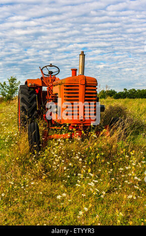 Roter Traktor saß unter wilden Blumen in einer grünen Wiese. Stockfoto