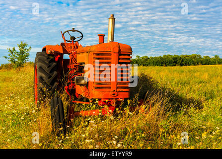 Kleinen roten Traktor allein in der Sommerwiese. Stockfoto
