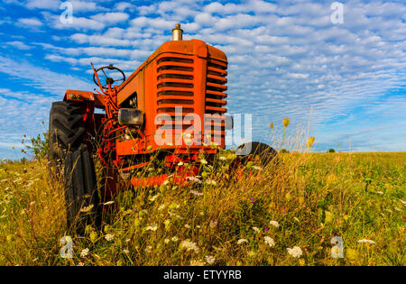 Eine verlassene alte rote Traktor steht in der hellen Sommersonne. Stockfoto