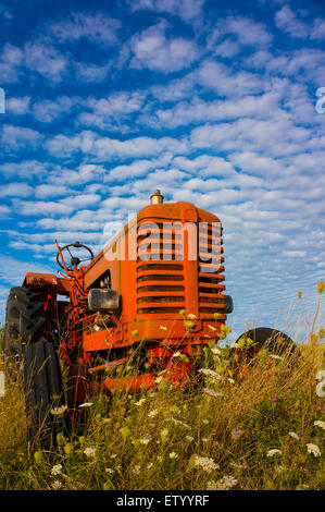 Alten und kleinen roten Traktor, aufgegeben am Rand des Feldes. Arbeitsleben ist es längst vorbei. Stockfoto