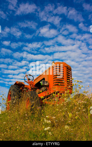 Alten und kleinen roten Traktor, aufgegeben am Rand des Feldes. Arbeitsleben ist es längst vorbei. Stockfoto