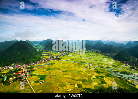 Reisfeld im Tal in Bacson, Langson, Vietnam Stockfoto