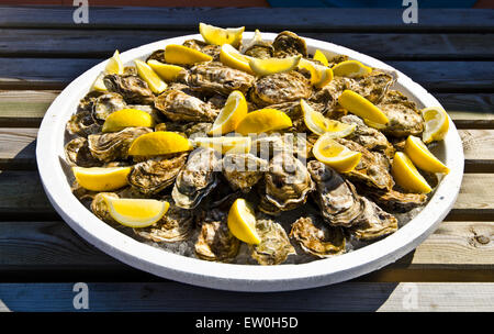 Die Platte des rohen Austern dekoriert mit Stücken von Zitrone im französischen Oyster Kultur Tradition direkt von Fromentine Austern Farm Stockfoto