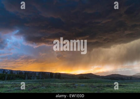 Gewitter bei Sonnenuntergang am Swan Lake flach im Yellowstone National Park 12. Juni 2015 in Yellowstone in Wyoming. Stockfoto