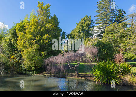 Miyazu japanischer Garten, Nelson, Südinsel, Neuseeland Stockfoto