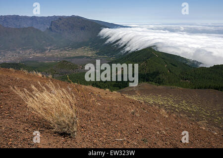 Blick vom Pico Birigoyo auf den Pinienwald und der Wasserfall von Wolken über die Cumbre Nueva, Valle Aridane und Caldere de Stockfoto