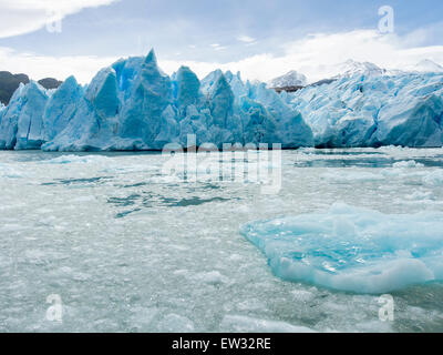 Grau, Gletscher, Lago Grey, Nationalpark Torres del Paine, Patagonien, Chile Stockfoto