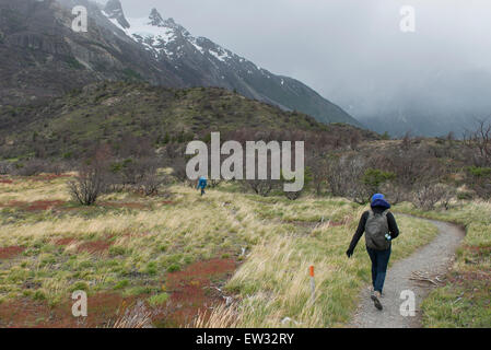 Wanderer W-Trek, Torres del Paine Nationalpark, Patagonien, Chile Stockfoto