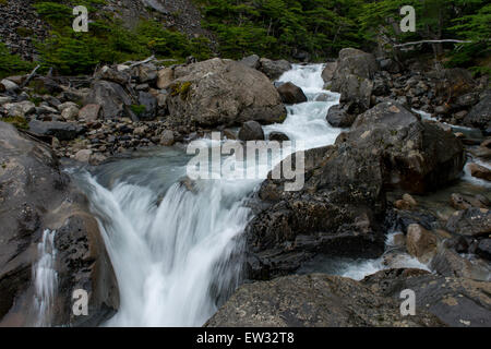 Blick auf eine French River, Französisch-Tal, Nationalpark Torres del Paine, Patagonien, Chile Stockfoto