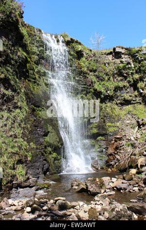 Wasserfall auf Kraft Gill, ein kleiner Bach an den Osthängen auf Whernside (Berg) in North Yorkshire, England. Stockfoto