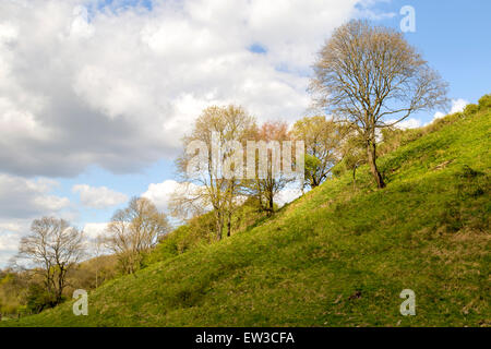 Zeigen Sie nach oben aus dem Tal der Devils Dyke auf den South Downs Way, in der Nähe von Brighton, West Sussex, England, Vereinigtes Königreich an. Stockfoto