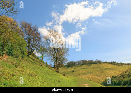 Landschaft Schönheit entlang der Devils Dyke auf den South Downs Way, in der Nähe von Brighton, West Sussex, England, Vereinigtes Königreich. Stockfoto